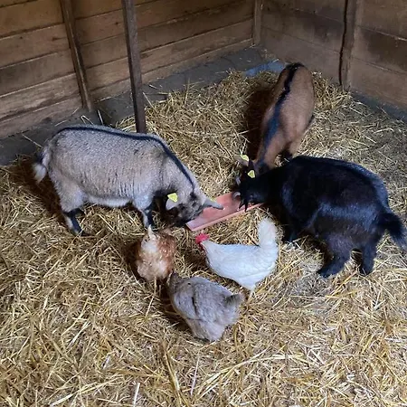 Chez Mamylette Bed & Breakfast