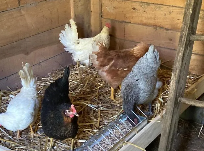 Chez Mamylette B&B 3*