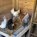 Chez Mamylette Bed & Breakfast 3*