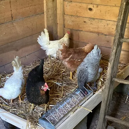 Chez Mamylette Alojamento de Acomodação e Pequeno-almoço 3*