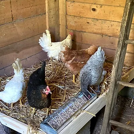 Bed & Breakfast Chez Mamylette 3*