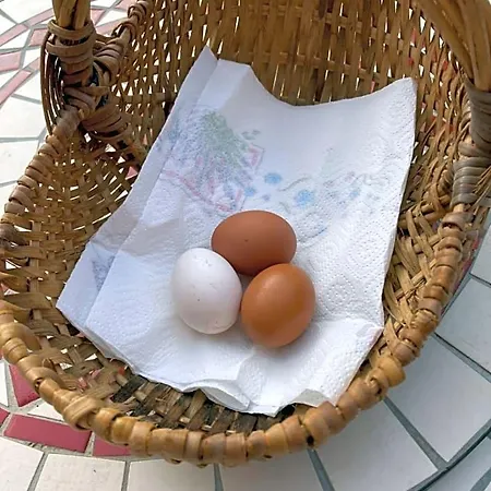 Bed & Breakfast Chez Mamylette 3*