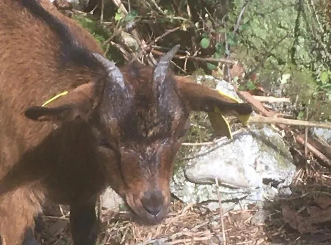 Chez Mamylette B&B Saint-Pé-de-Bigorre